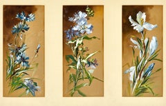 Études botaniques, signées et datées de 1898.