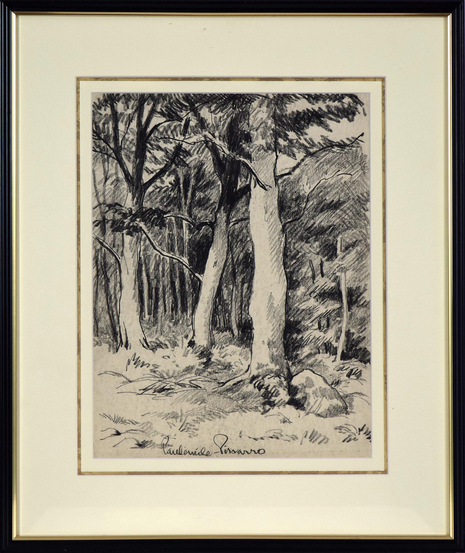 Paul Emile Pissarro Figurative Art - Vue d'une Forêt by Paulémile Pissarro - View of a forest, landscape drawing