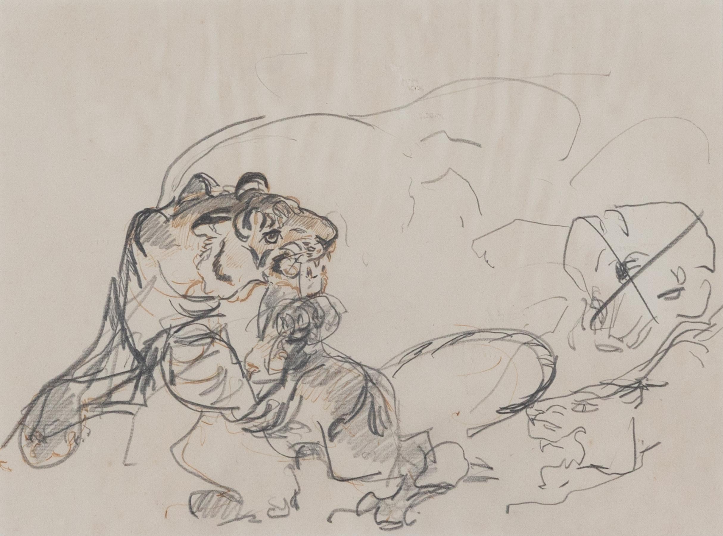 Pouncing Tiger by Orovida Pissarro (1893-1968)
Ink and pencil on paper
18.1 x 25.7 cm (7 ⅛ x 10 ⅛ inches)
Executed circa 1917

Artist biography:
Orovida Camille Pissarro, Lucien and Esther Pissarro’s only child, was the first woman in the Pissarro