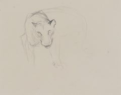 Study of Large Wild Cat Head by Orovida Pissarro - Drawing