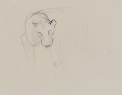 Antique Study of Large Wild Cat Head by Orovida Pissarro - Drawing