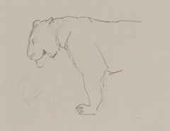 Lioness in Profile by Orovida Pissarro - Drawing