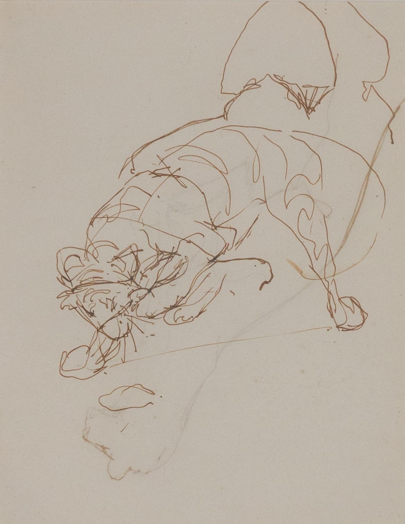 Study of Crouching Tiger by Orovida Pissarro (1893-1968)
Ink on paper
25.7 x 22.5 cm (10 ⅛ x 8 ⅞ inches)
Executed circa 1917

Artist biography:
Orovida Camille Pissarro, Lucien and Esther Pissarro’s only child, was the first woman in the Pissarro