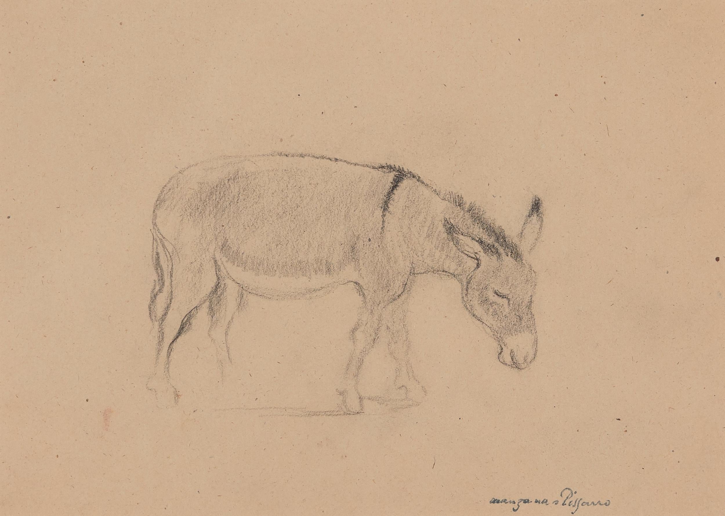Donkey par Georges Manzana Pissarro - dessin d'animaux