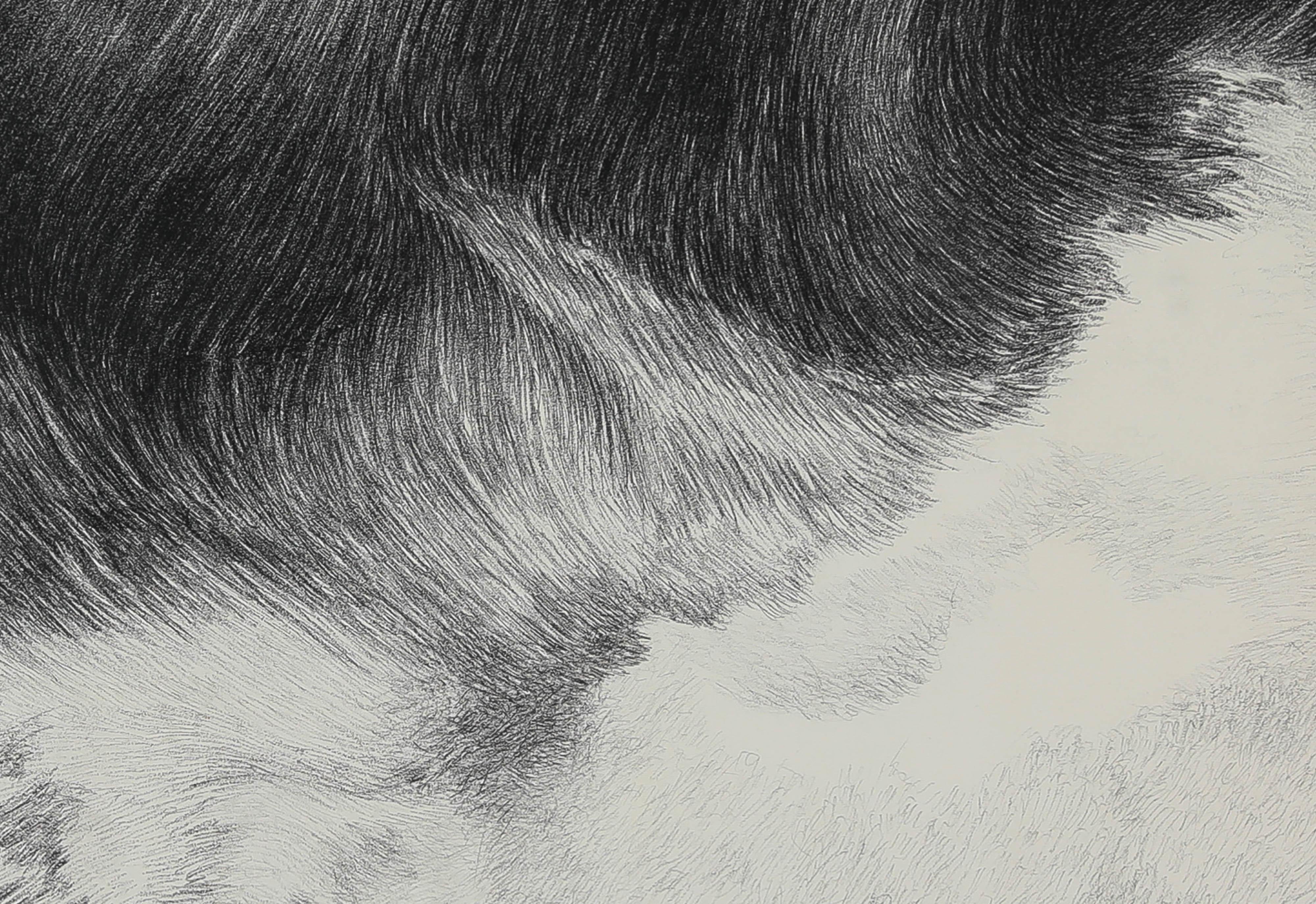 Große schwarz-weiße Zeichnung mit dem Titel „Waves“ des französischen Künstlers Yvon Pissarro  im Angebot 2