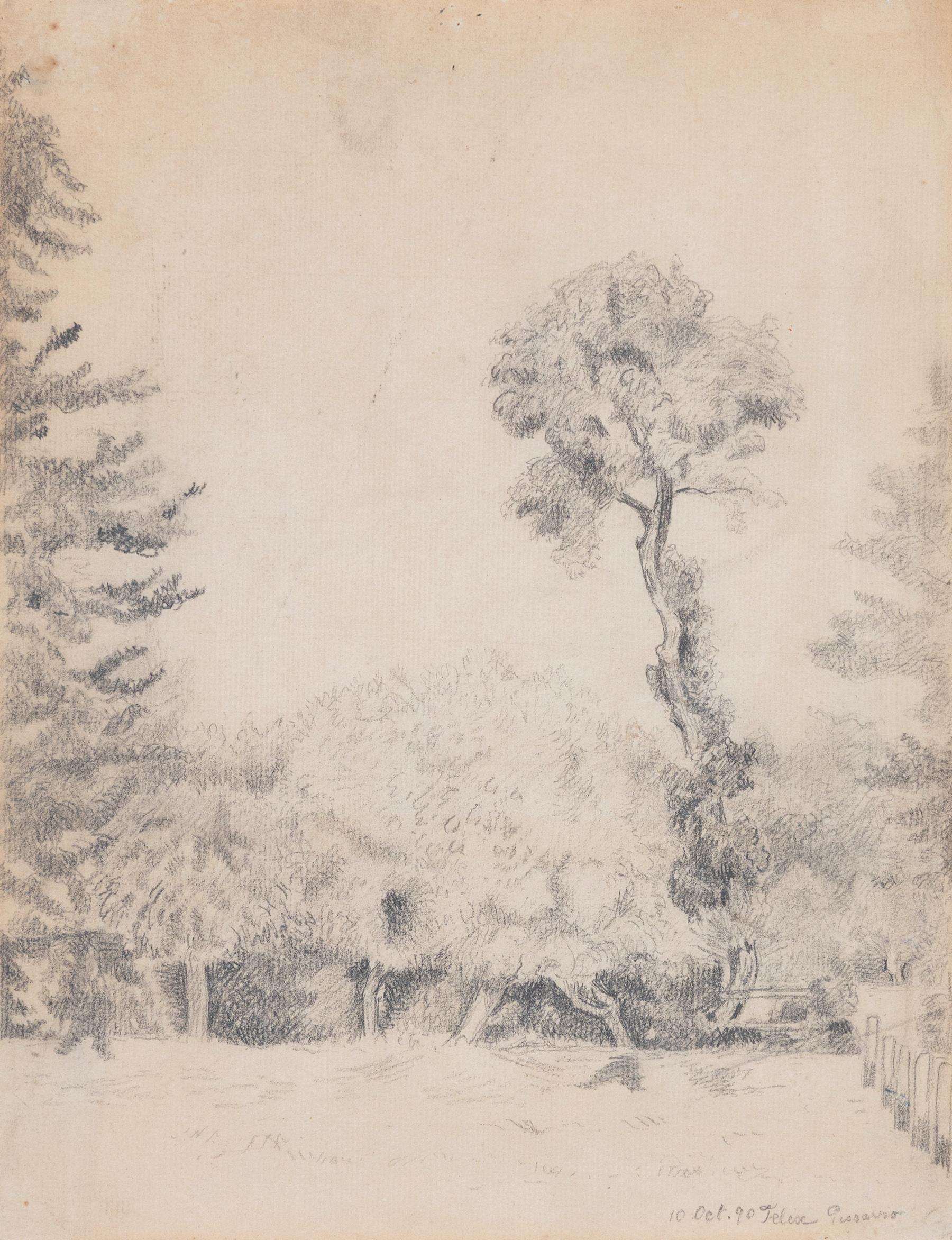 Landscape Art Félix Pissarro - Paysage avec arbres de Flix Pissarro - Dessin