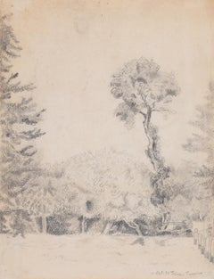 Antique Landscape with Trees by Félix Pissarro - Drawing