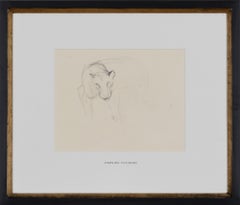 Study of Large Wild Cat Head by Orovida Pissarro - Drawing