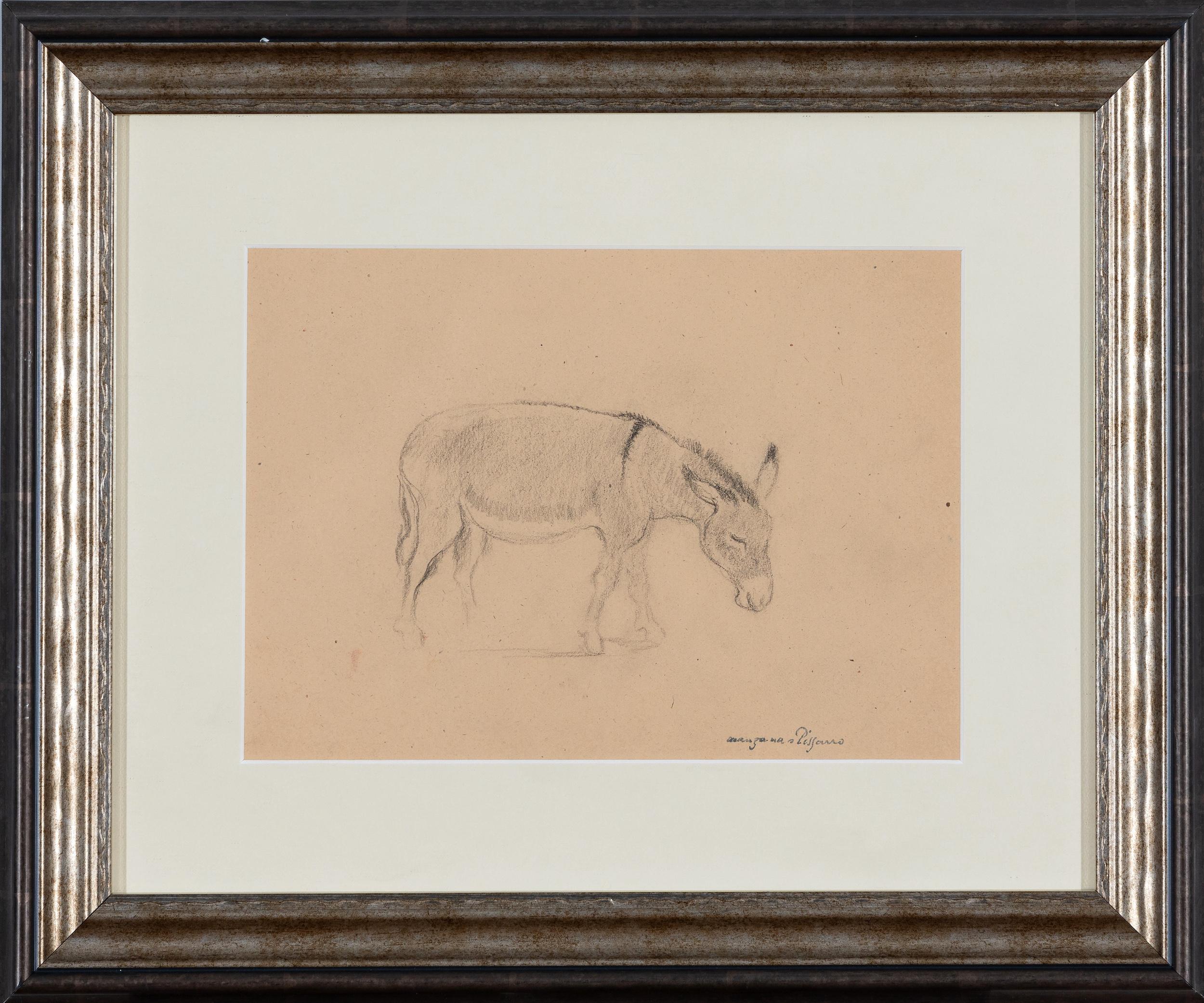 Donkey par Georges Manzana Pissarro - dessin d'animaux - Art de Georges Henri Manzana Pissarro