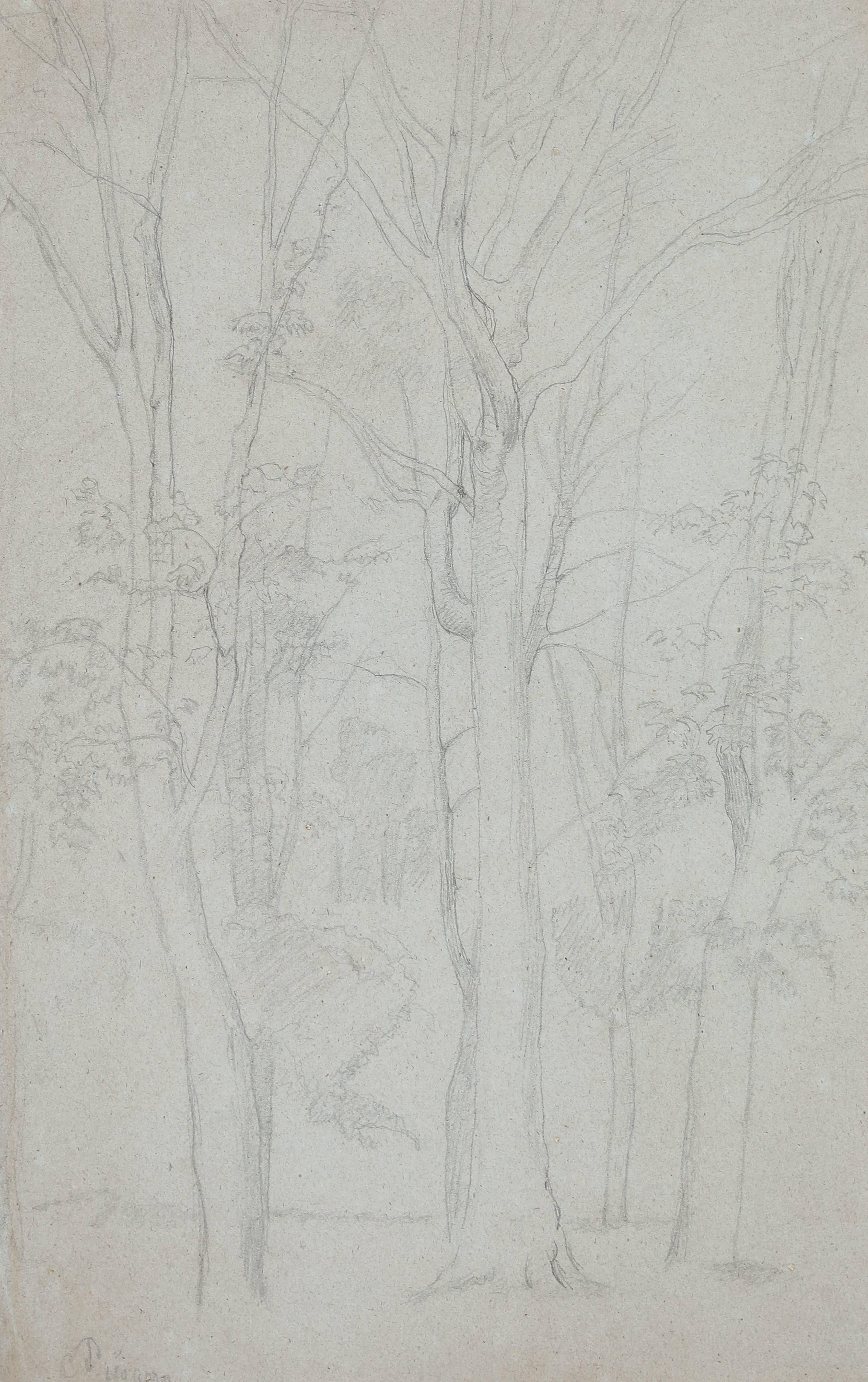 Arbres von Camille Pissarro (1830-1903)
Bleistift auf Papier
44 x 28 cm (17 ³/₈ x 11 Zoll)
Signiert unten links, C. Pissarro
Ausgeführt um 1859

Beeinflusst von der französischen Landschaft, von Corot und der Schule von Barbizon, zeigte Camille