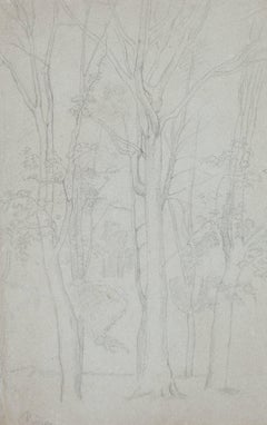 Arbres par Camille Pissarro - Crayon sur papier