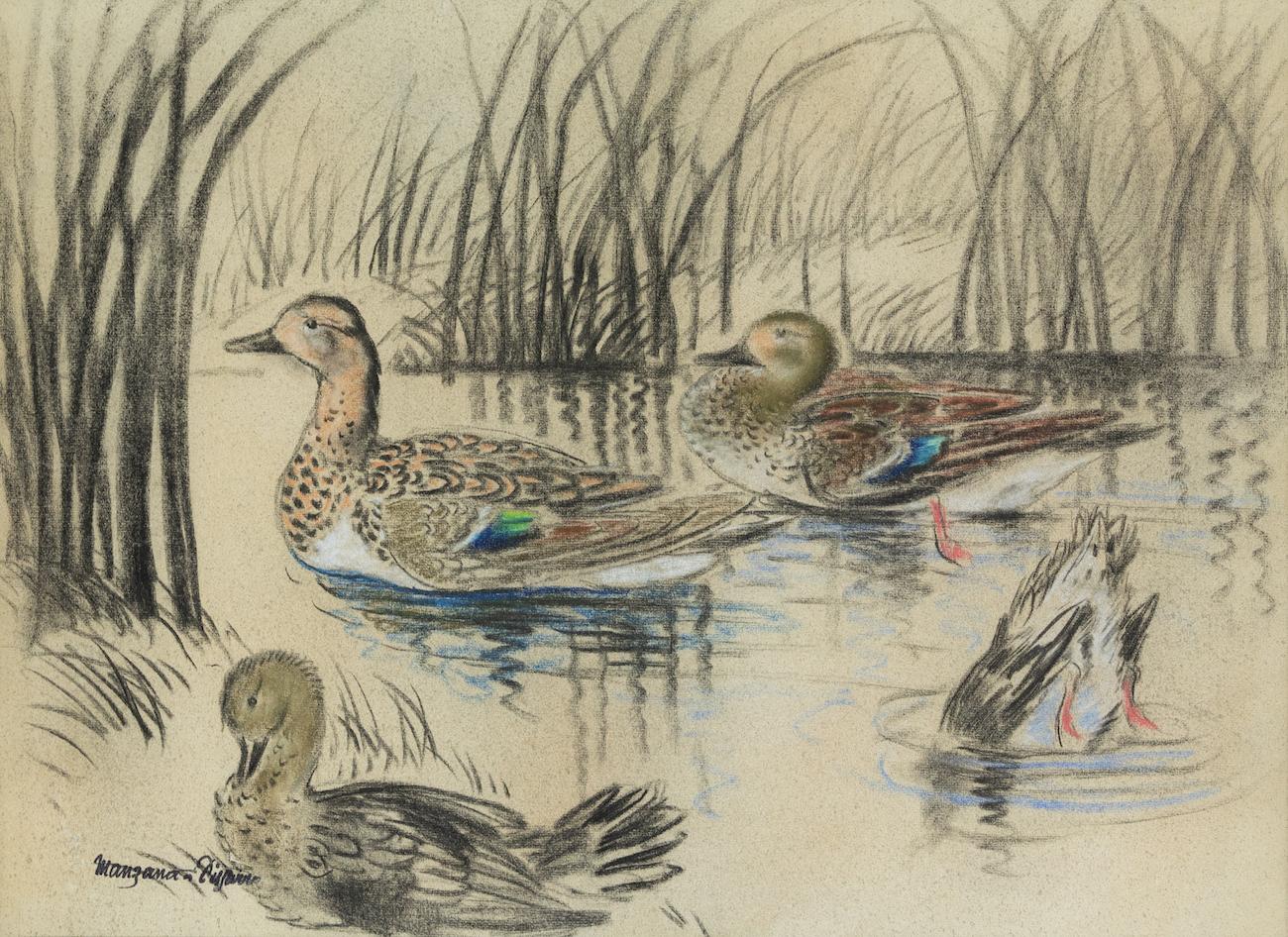 Wild Ducks by Georges Manzana Pissarro (1871 - 1961)
Charcoal and pastel on paper
46 x 62 cm (18 ⅛ x 24 ⅜ inches)
Estate stamp lower left Manzana Pissarro
Executed circa 1920

This work is accompanied by a certificate of authenticity issued by Lélia