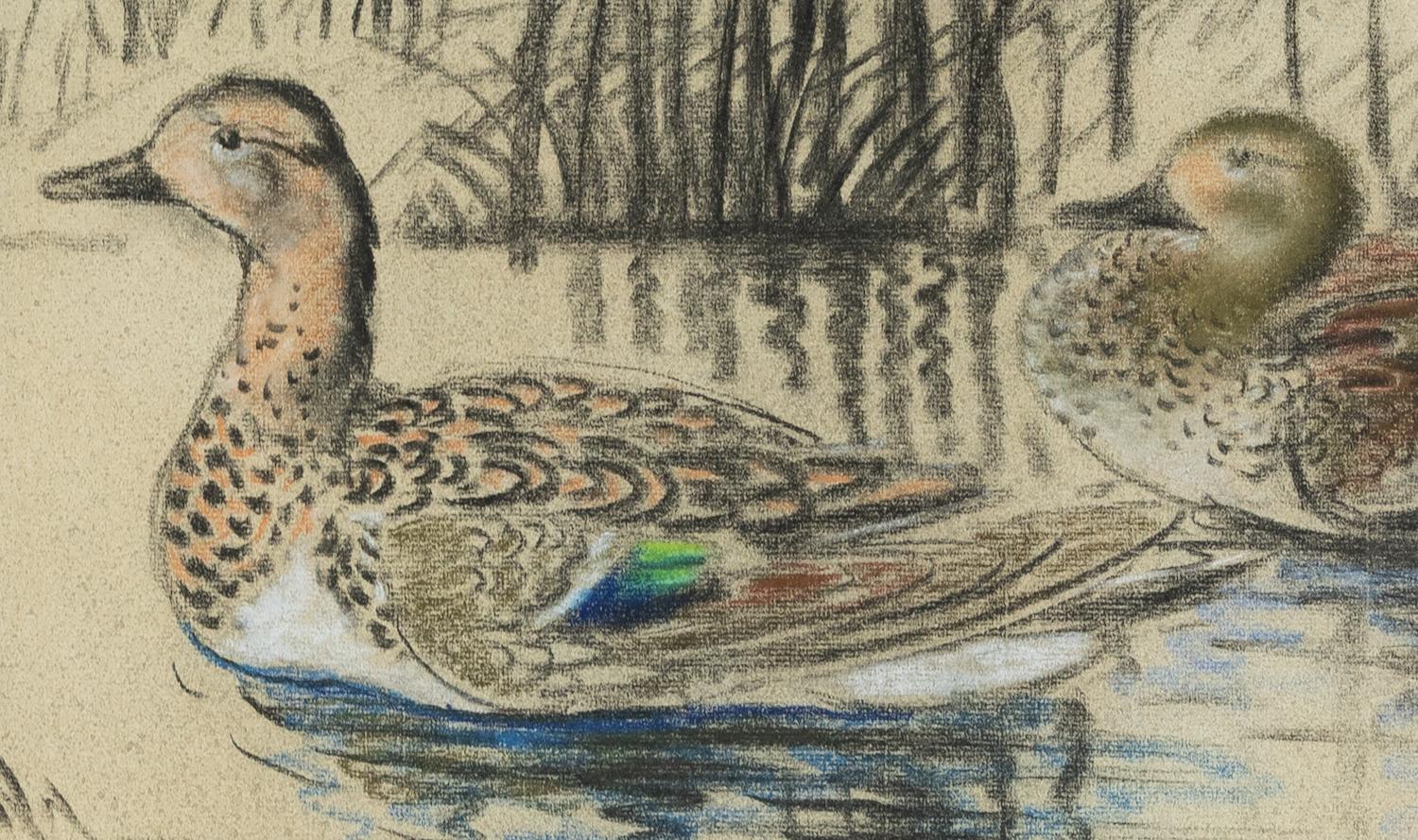 Wild Ducks, Charcoal and Pastel on Paper by Georges Manzana Pissarro, circa 1920 For Sale 3
