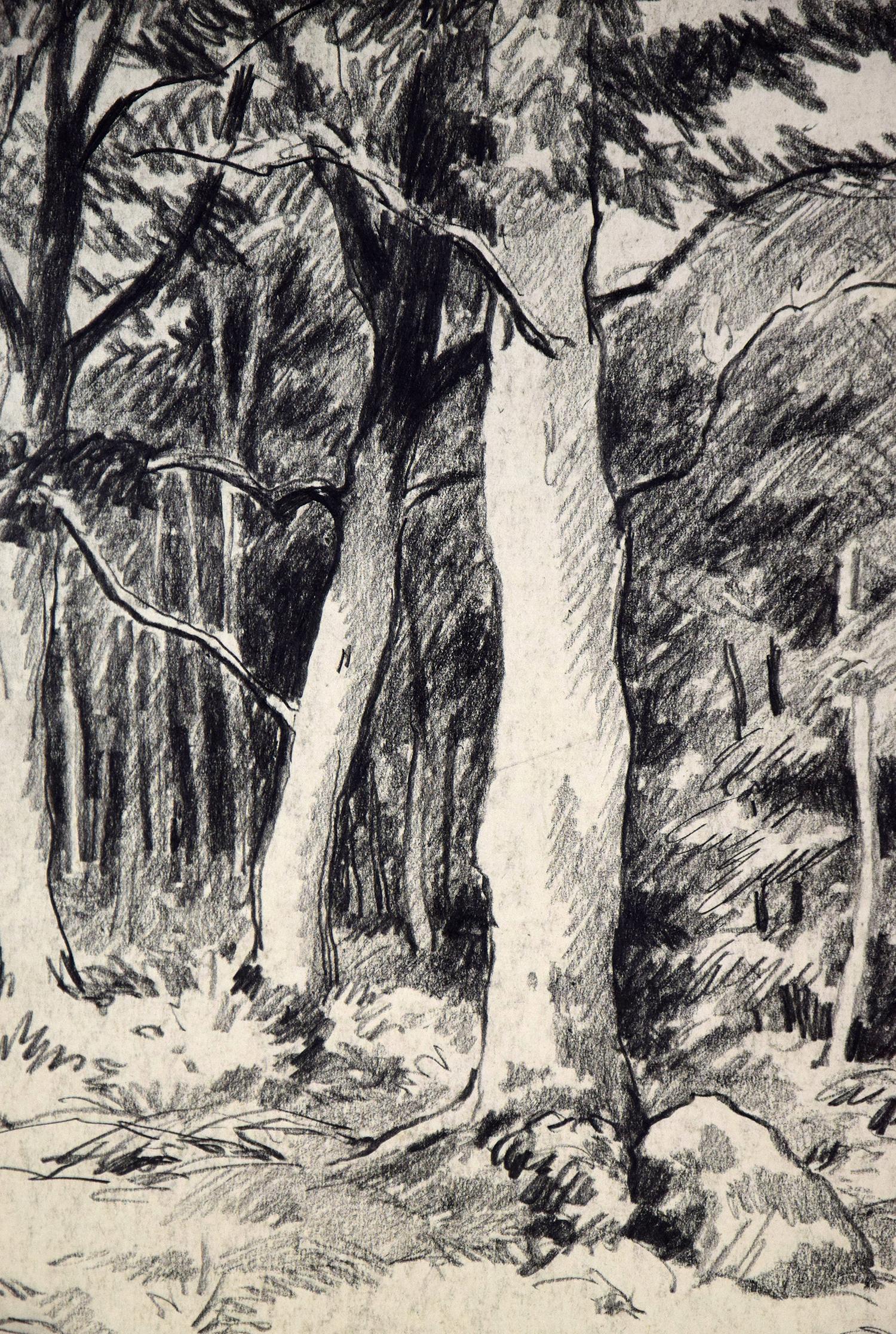 foret drawing