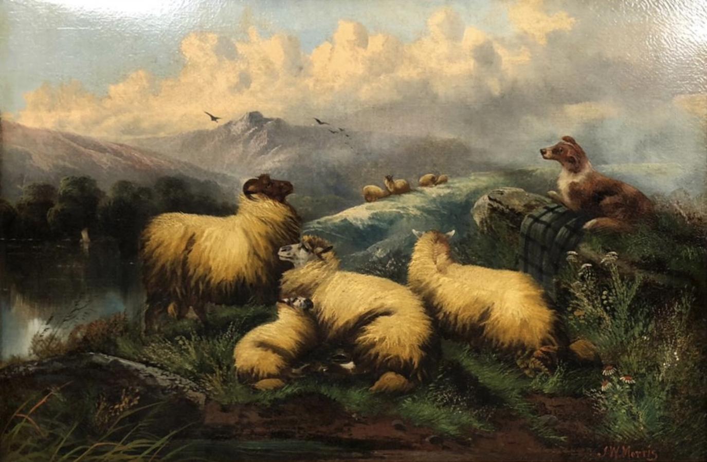 Gazing Scottish Highland Sheep - Painting by William Morris 