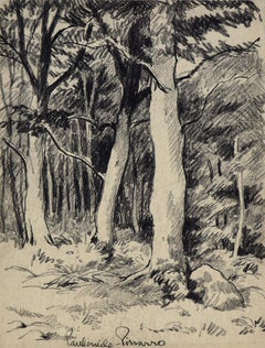 Vue d'une Forêt by Paulémile Pissarro - View of a forest, landscape drawing