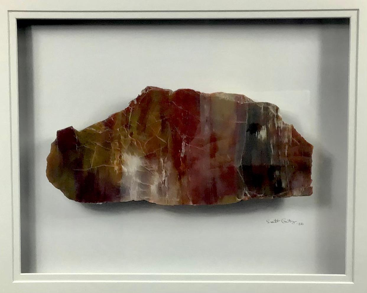 16x20 Framed Stone Artwork (Arizona Rainbow Petrified Wood) For Sale 1