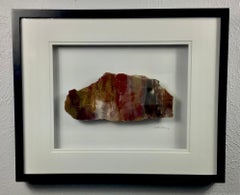 Used 16x20 Framed Stone Artwork (Arizona Rainbow Petrified Wood)