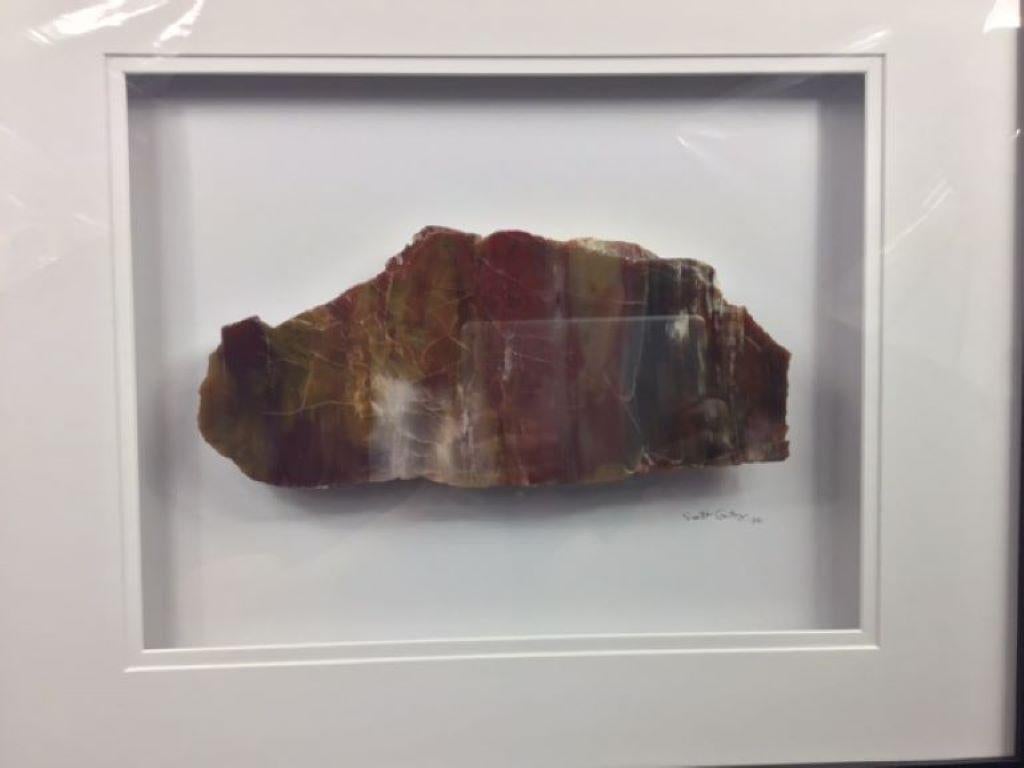 16x20 Framed Stone Artwork (Arizona Rainbow Petrified Wood) For Sale 6