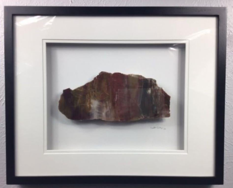 16x20 Framed Stone Artwork (Arizona Rainbow Petrified Wood) For Sale 4