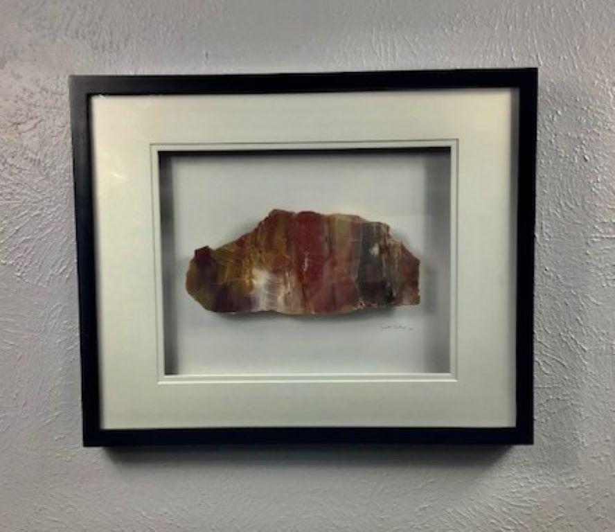 16x20 Framed Stone Artwork (Arizona Rainbow Petrified Wood) For Sale 8