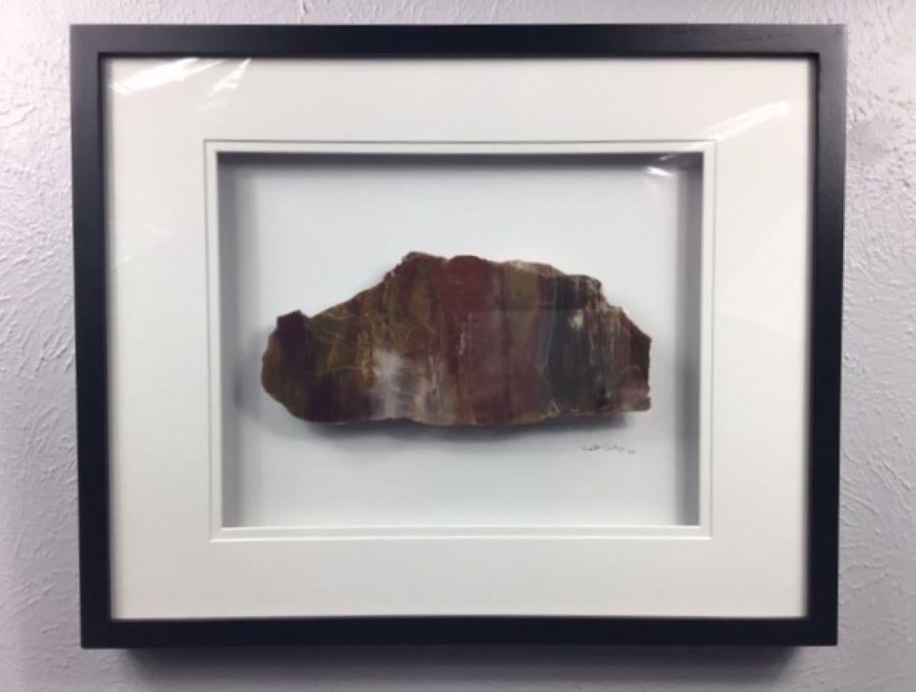 16x20 Framed Stone Artwork (Arizona Rainbow Petrified Wood) For Sale 5