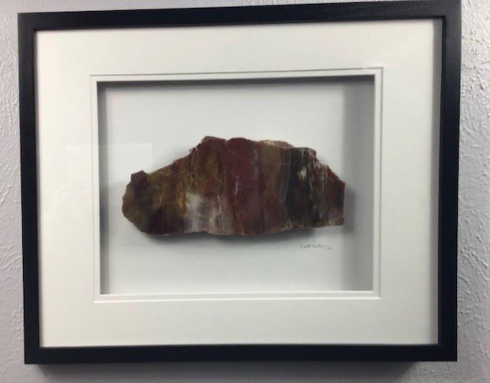 16x20 Framed Stone Artwork (Arizona Rainbow Petrified Wood) For Sale 7