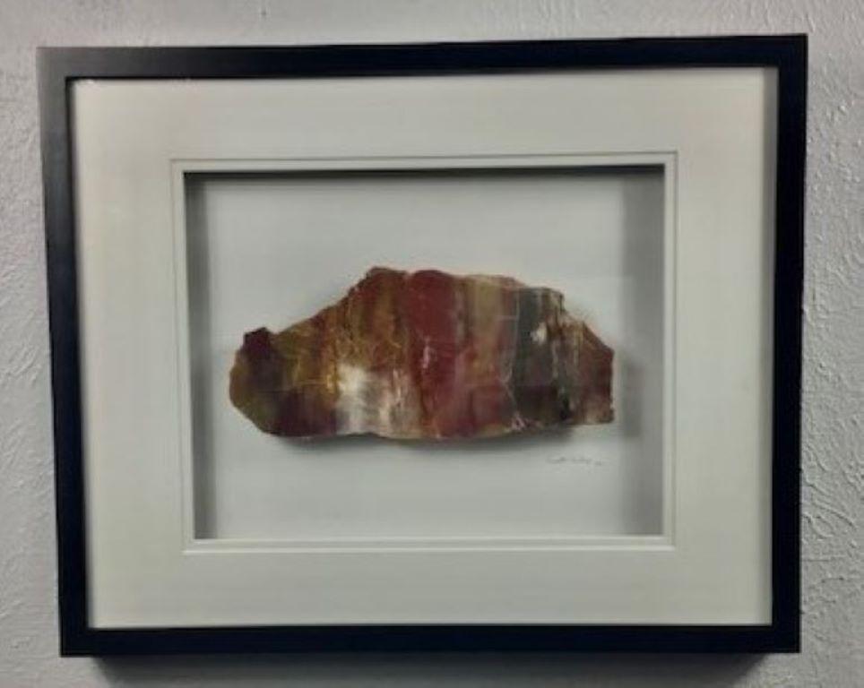 16x20 Framed Stone Artwork (Arizona Rainbow Petrified Wood) For Sale 9