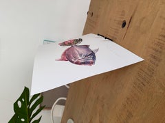 Hand Finished Botanical Fish Giclée Print with Protea Flower Limited Edition
