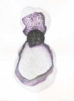 Roche #6