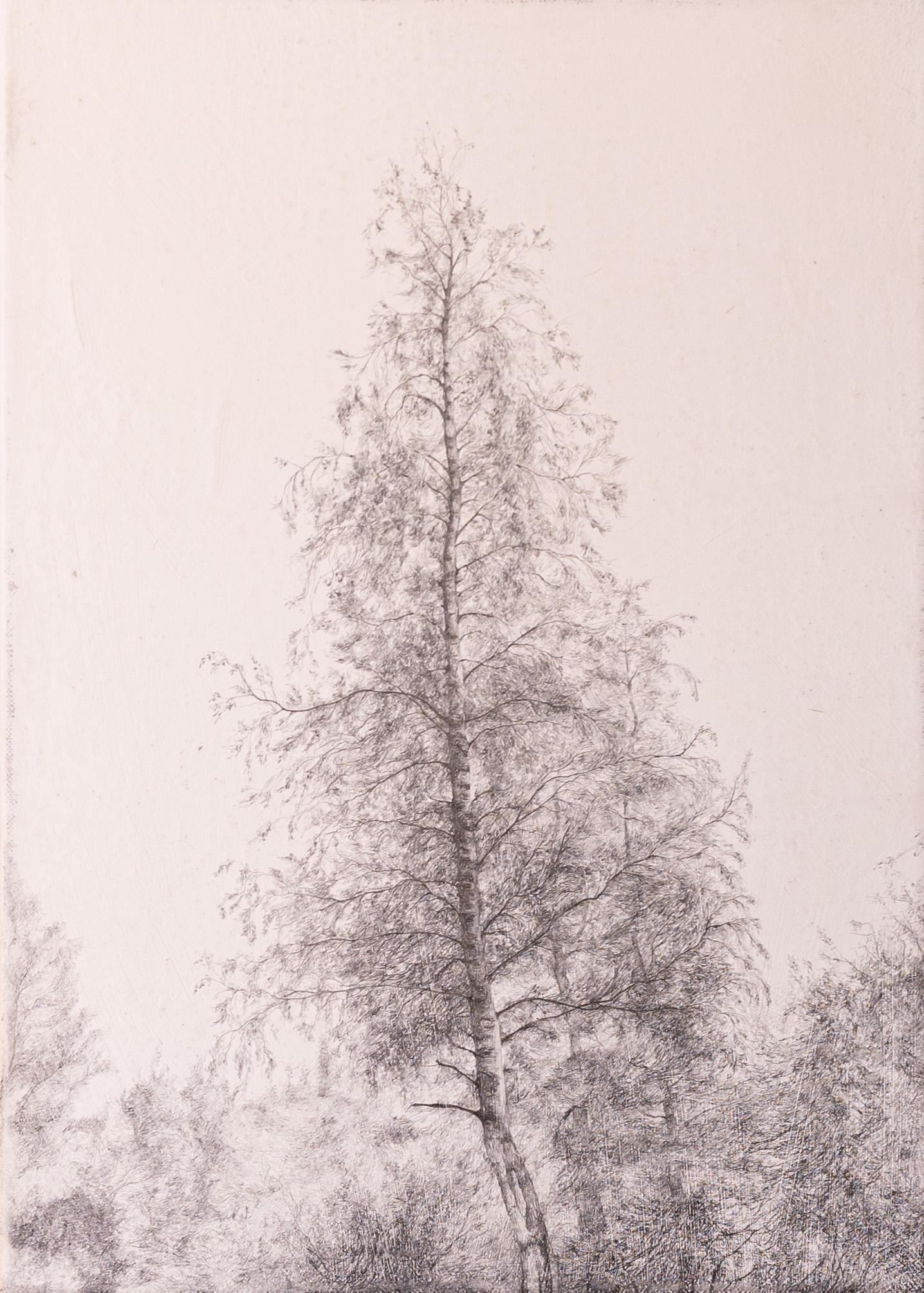 Pencil drawing on canvas of a birch tree - Modern Art by Joris Vanpoucke