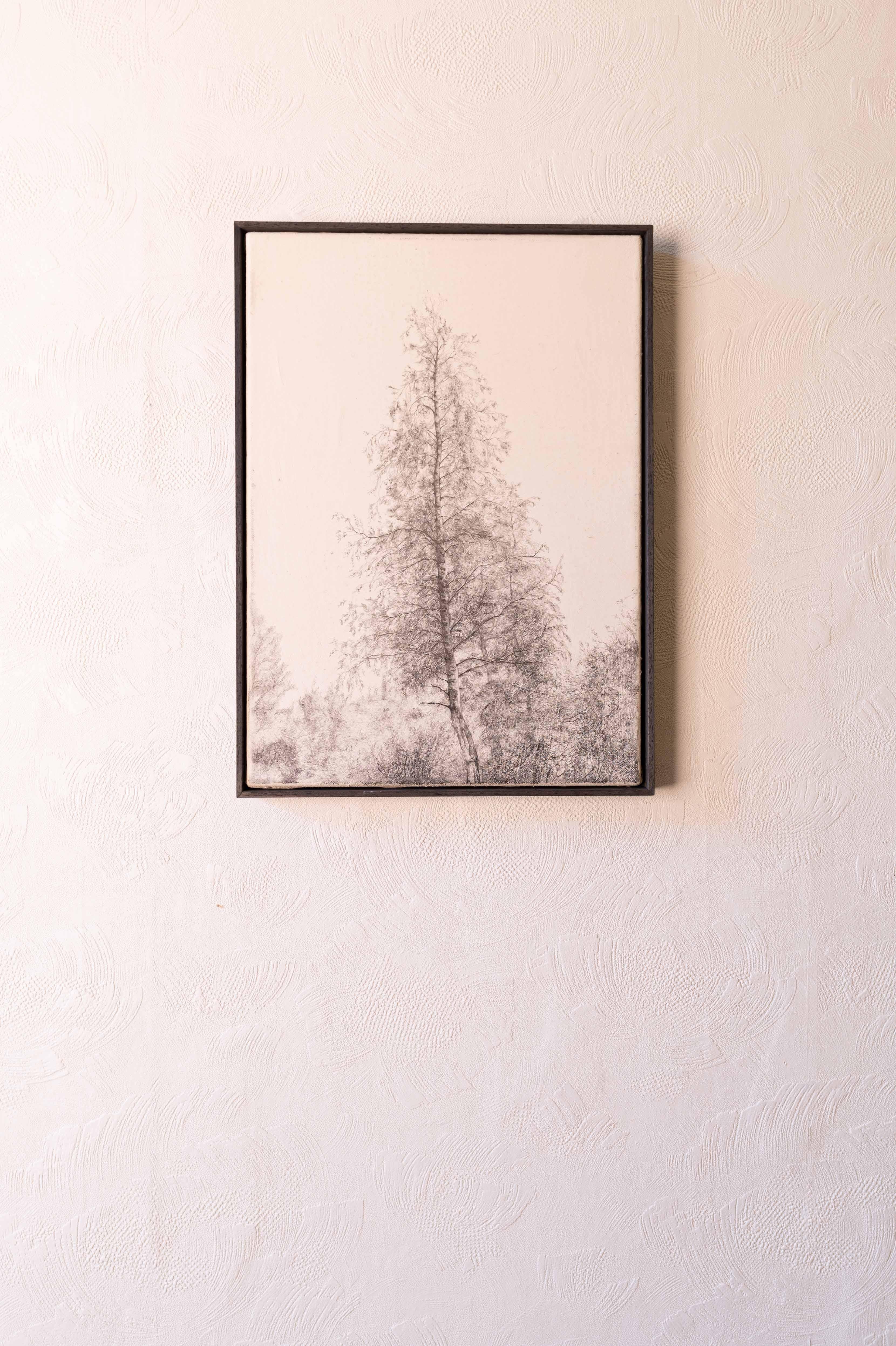 Pencil drawing on canvas of a birch tree - Art by Joris Vanpoucke