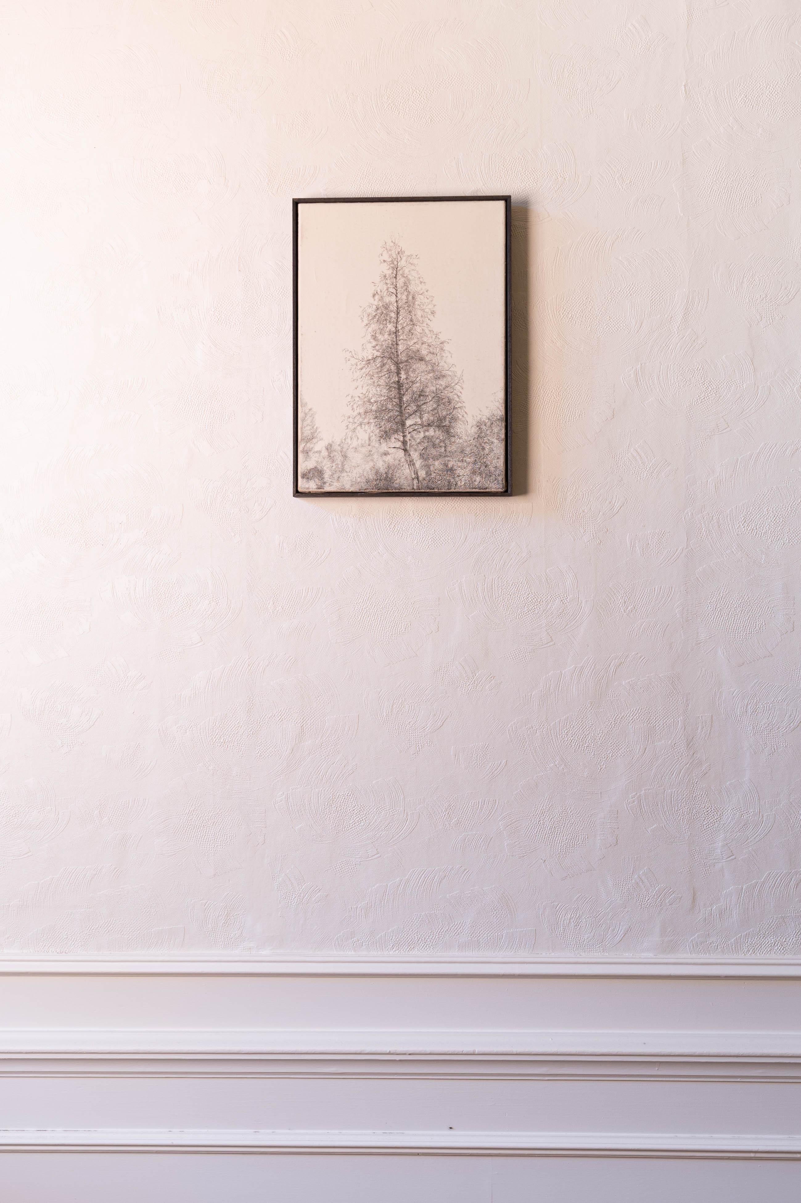 Pencil drawing on canvas of a birch tree - Beige Landscape Art by Joris Vanpoucke