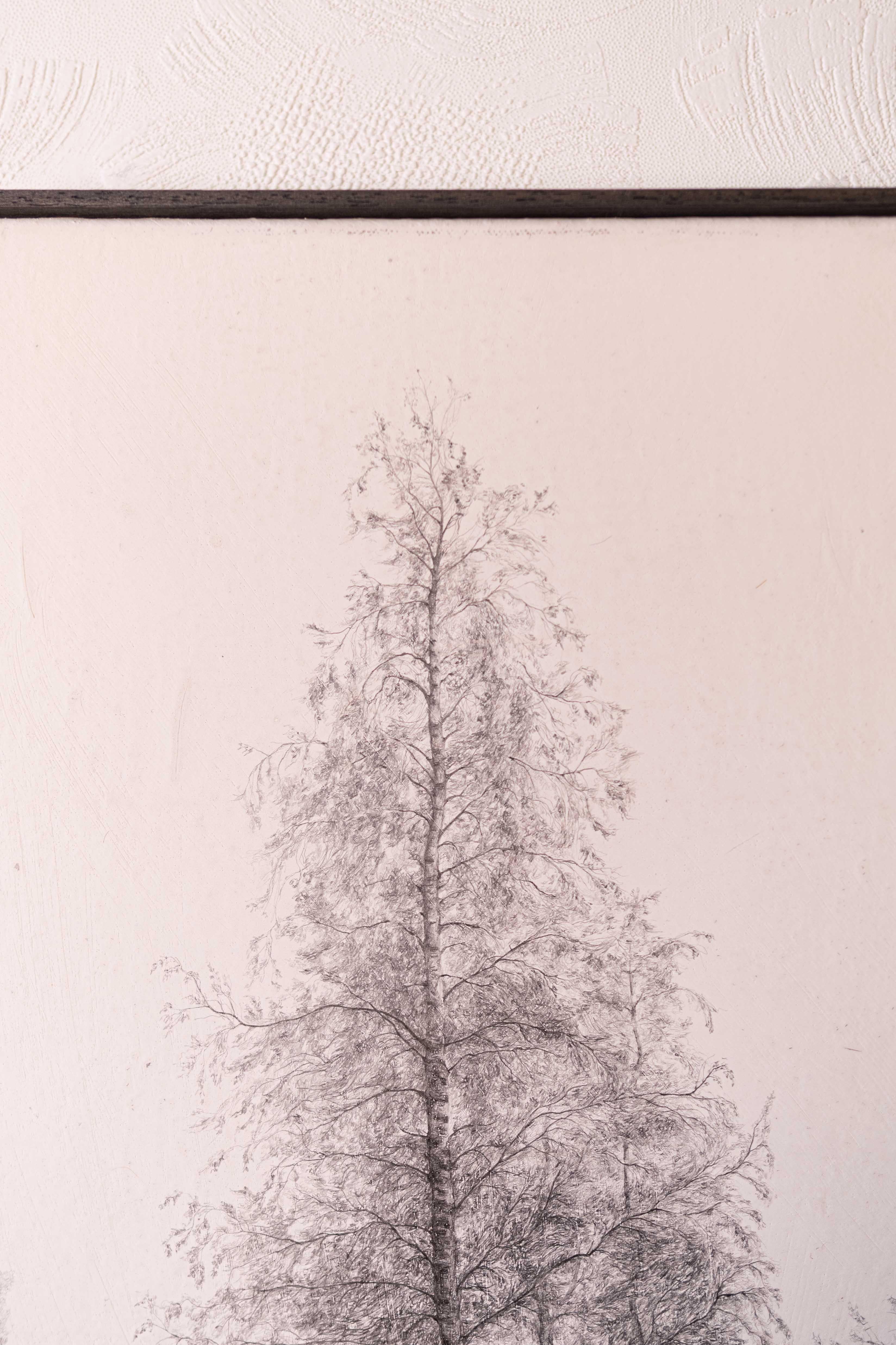 Pencil drawing on canvas of a birch tree For Sale 1
