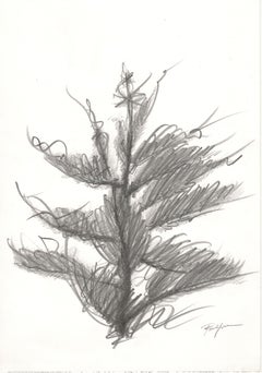 celestial tree, where stars blossom