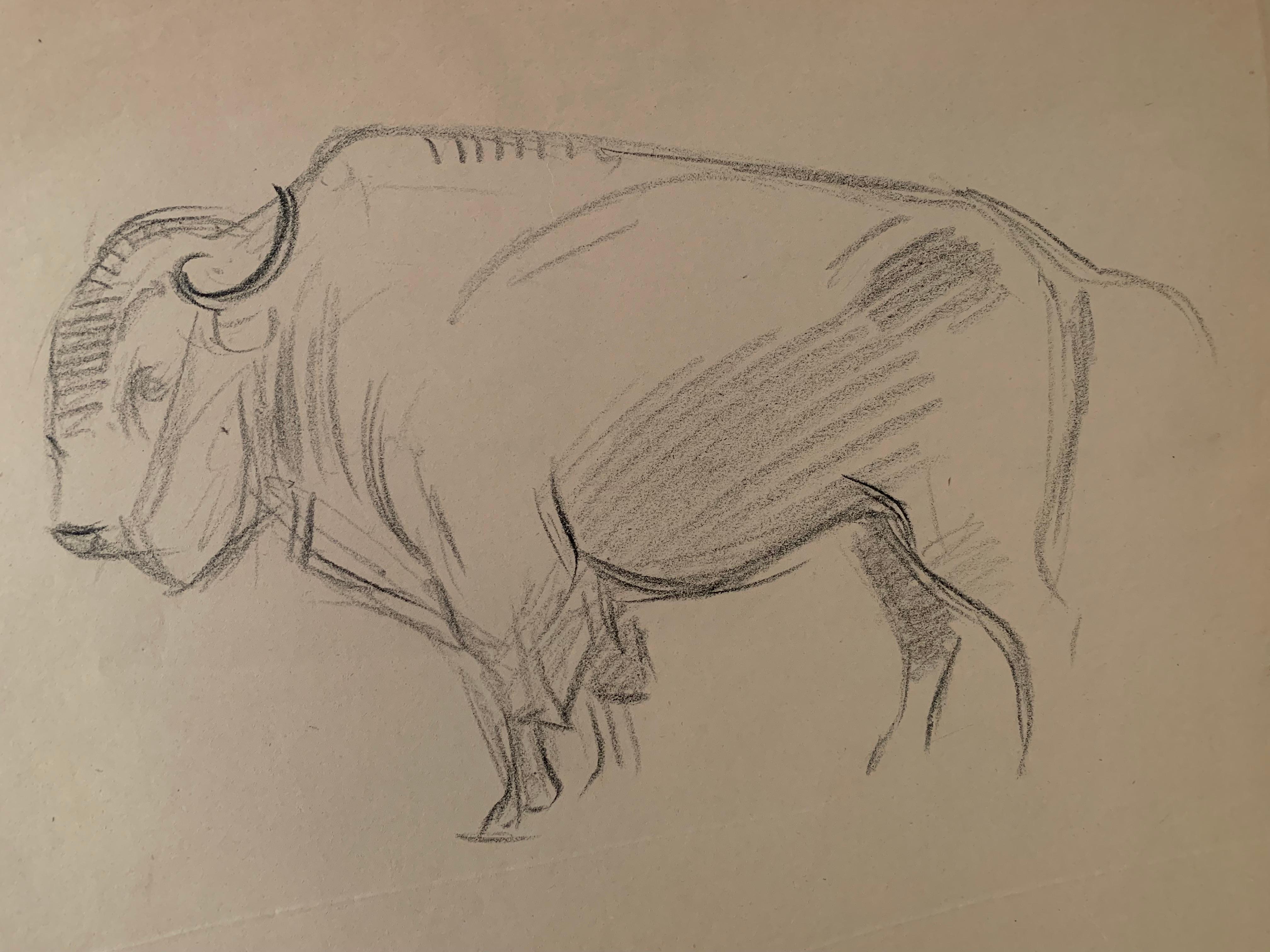 Victor Prouve Animal Art - Study of a buffalo