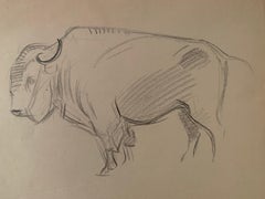 Antique Study of a buffalo