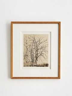 Jeanne-marie Barbey (1876-1960), Trees in Winter, Brown ink wash