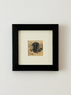 Louise Hervieu, Fly, charcoal on paper
