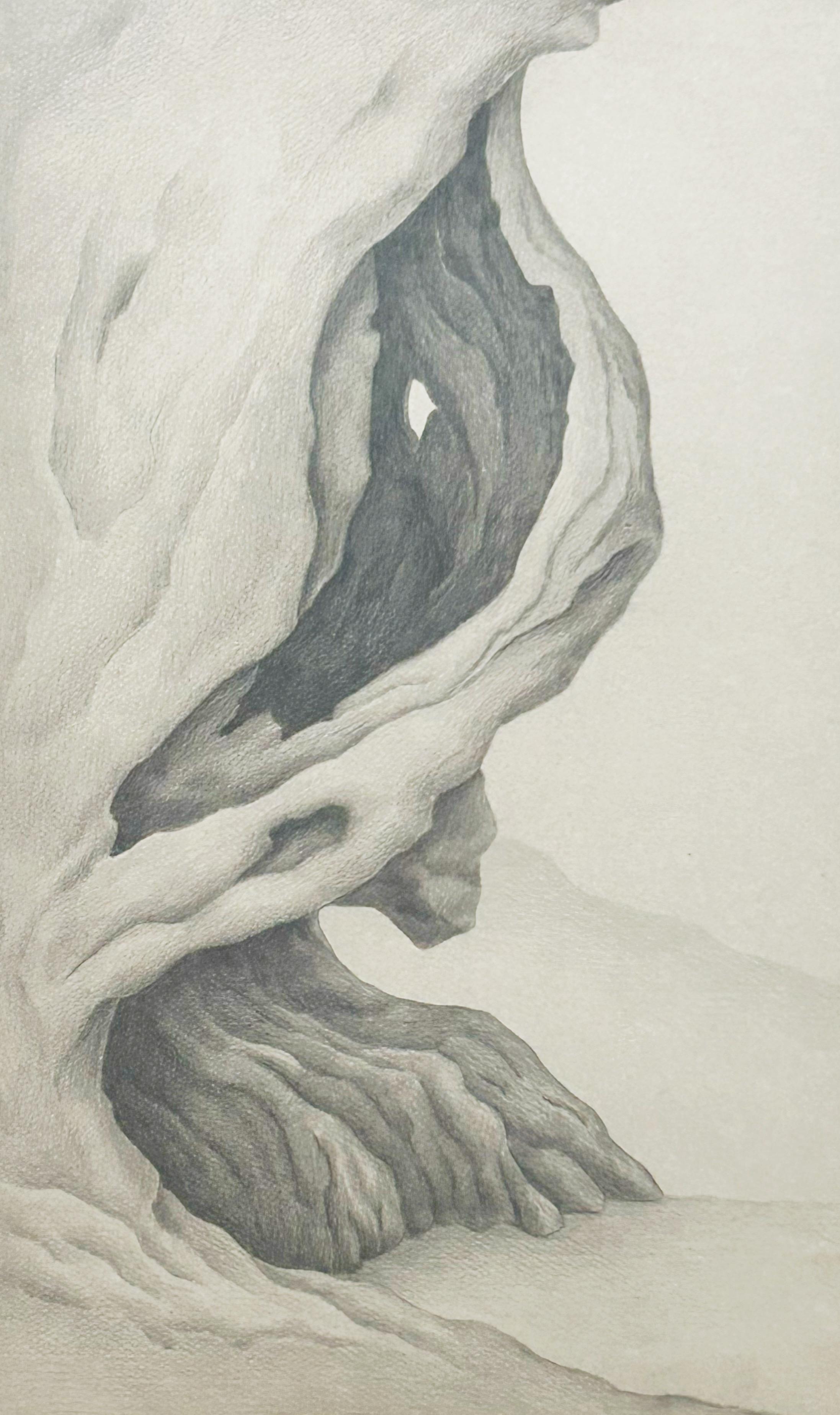 Eugenie O'kin Jubin, Landschaft, Bleistift auf Papier im Angebot 3