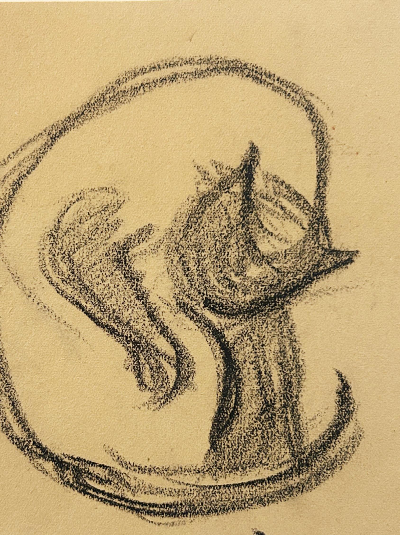 Victor PROUVÉ (1858-1943), Étude de chat, fusain sur papier - Art de Victor Prouve