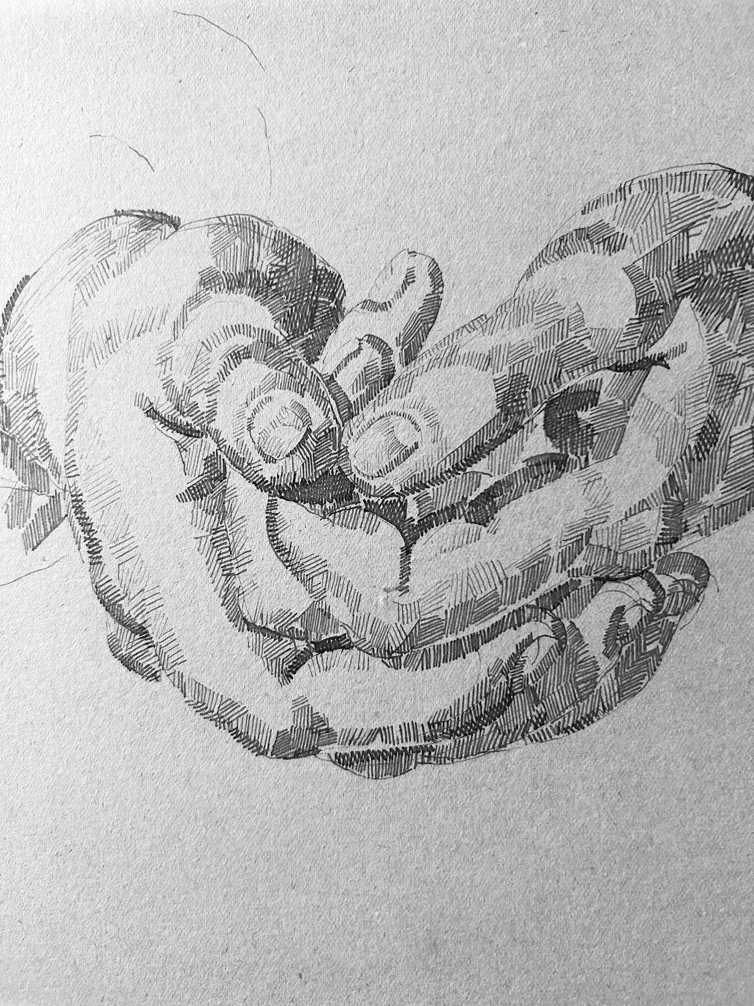 Study of hands, circa 1915, ink on paper For Sale 1