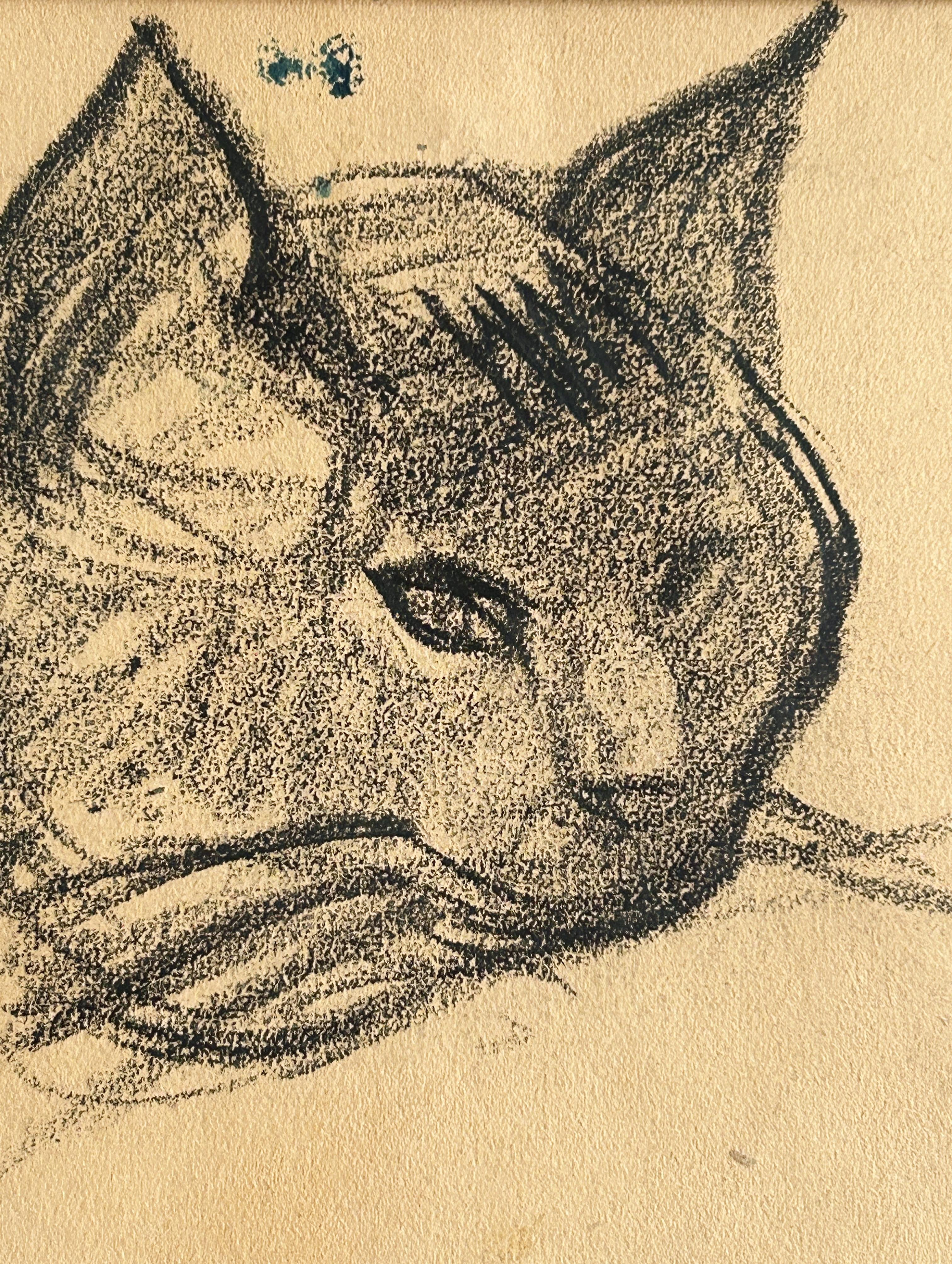 Victor Prouve, Hard of cat, Kohle auf Papier im Angebot 1