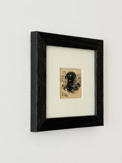 Louise Hervieu, Fly, charcoal on paper