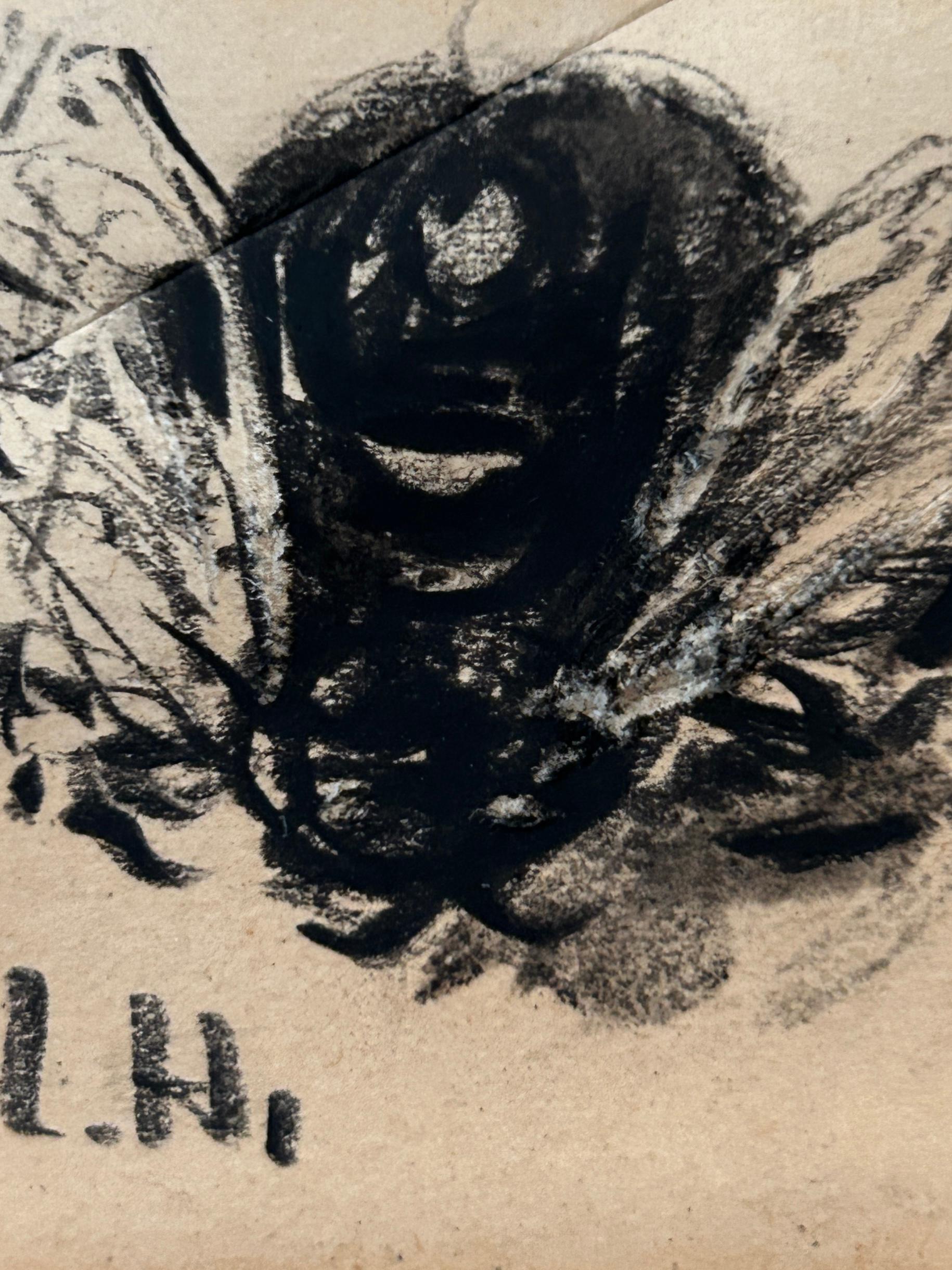 Louise Hervieu, Fly, carboncino su carta in vendita 3