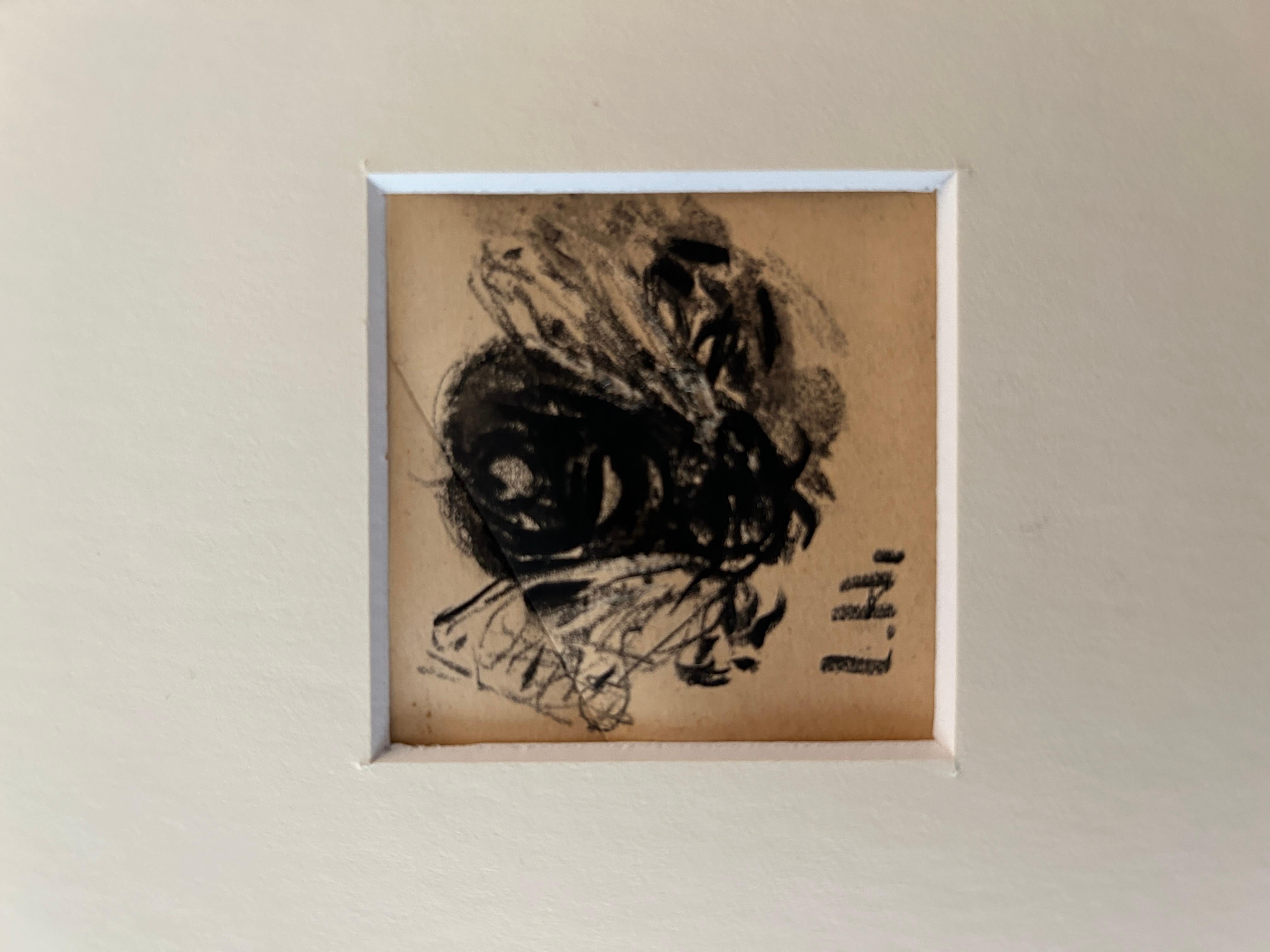 Louise Hervieu, Fly, carboncino su carta in vendita 4