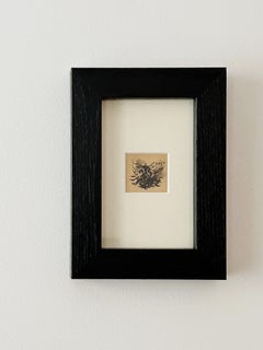 Louise Hervieu, Fly, charcoal on paper