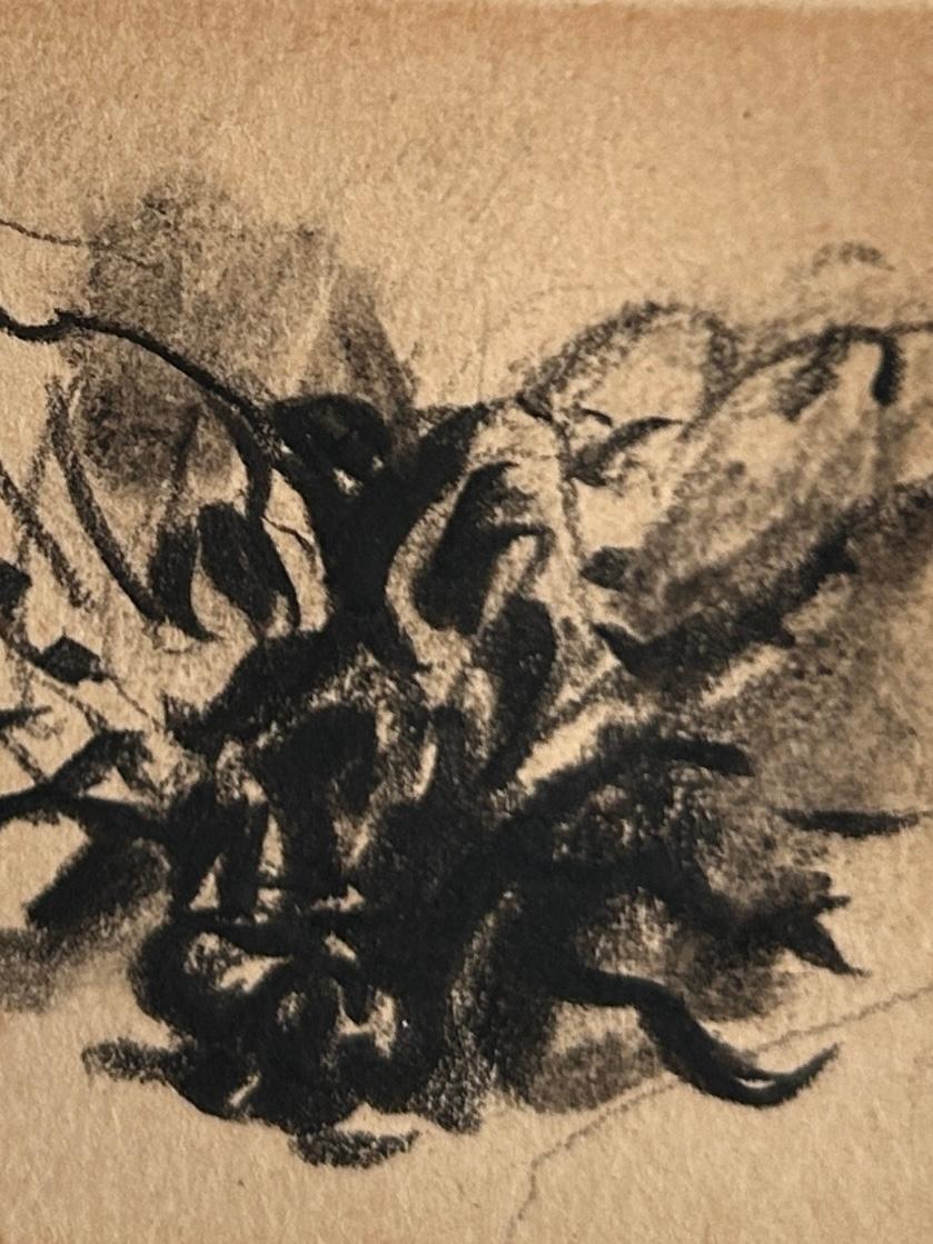 Louise Hervieu, Fliege, Holzkohle auf Papier im Angebot 3