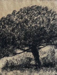 Sigismond JEANES (1862-1952), Trees, charcoal on paper