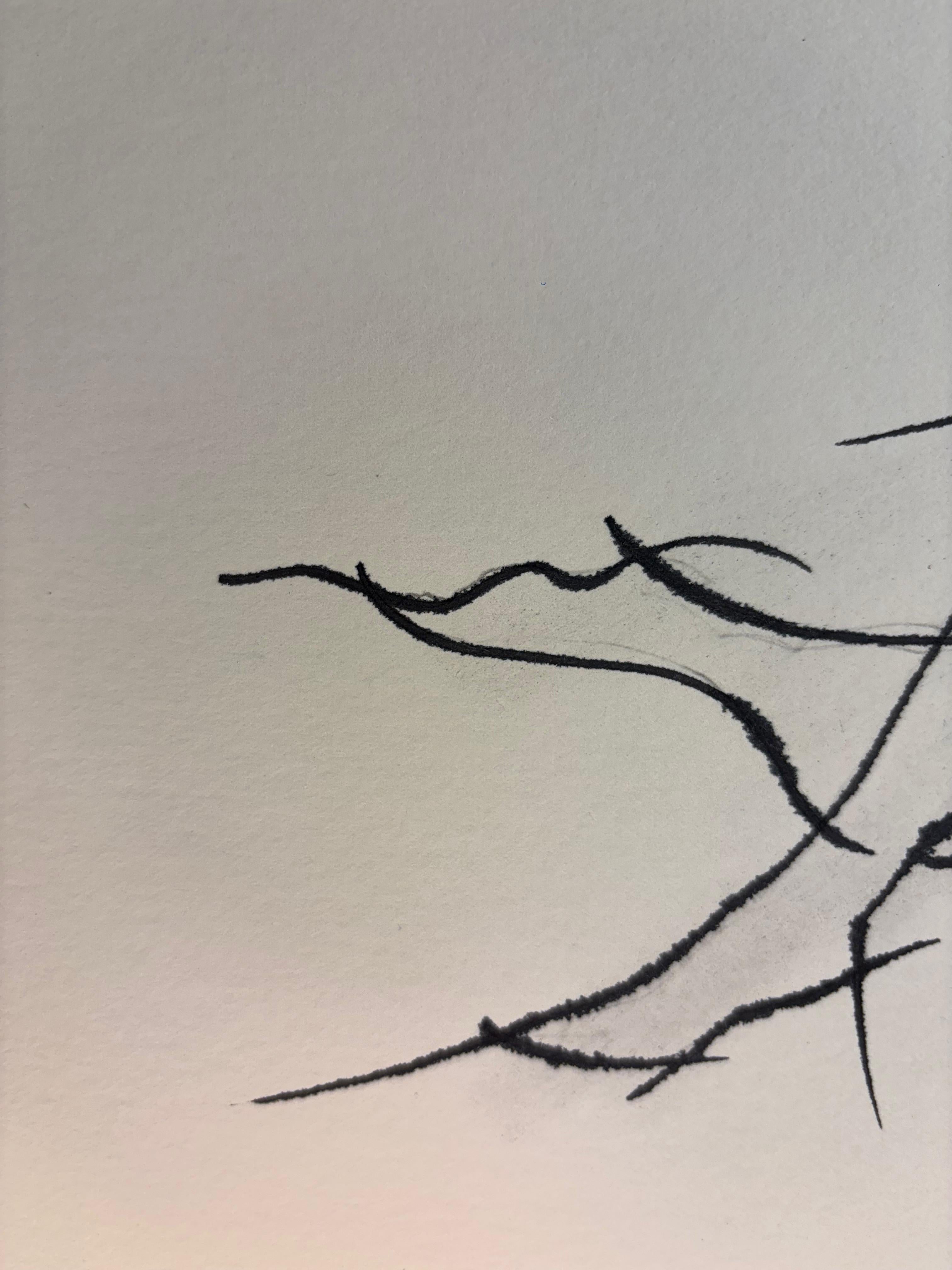 Nu Allongé, de Grégoire Mathias - Estudio Reclinado en Tinta y Línea en venta 9